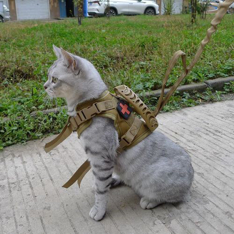 Cat Harness