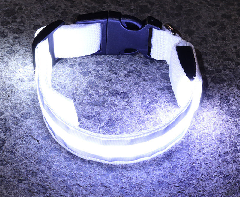 Dog LED-Collar