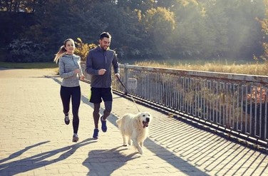 Gym wear / Bestseller