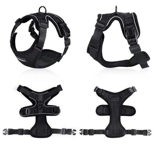 Cat Harness And Car Seat Belt Adapter