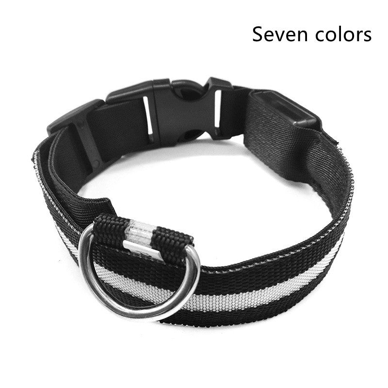 Night Safety Luminous  Cat Collar
