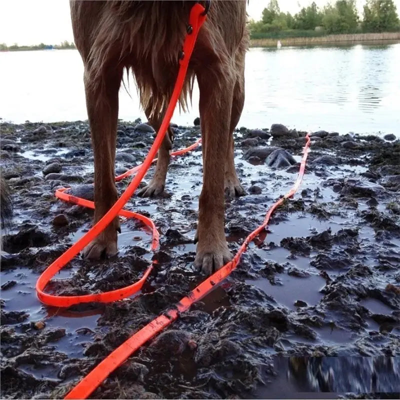 Feb.PVC Material Waterproof Dog Leash, For All-Weather Use, Easy To Clean, Fits For All Dog Sizes, 5M To 10M Lengths Black-10M