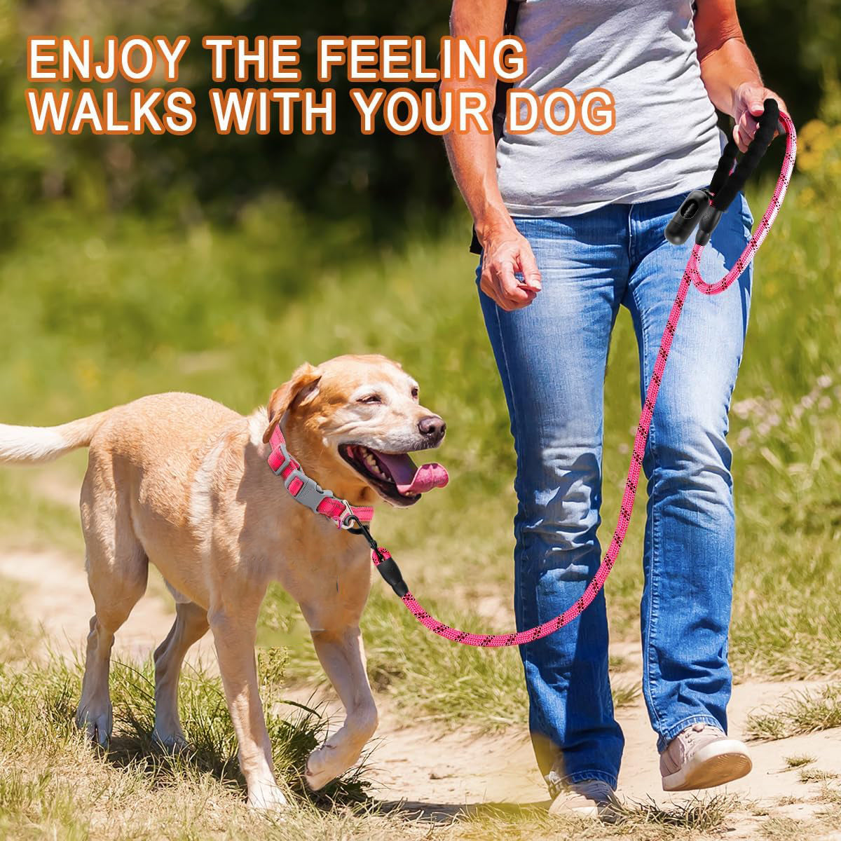 Dogs and Cats Leash Walking