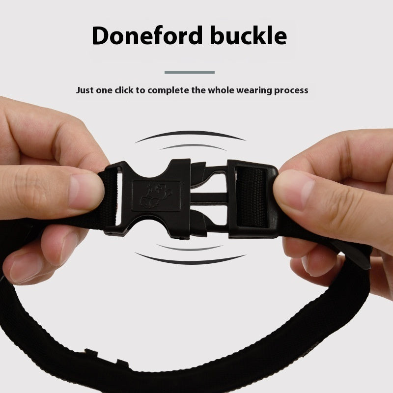 Luminous Dog Walking Light