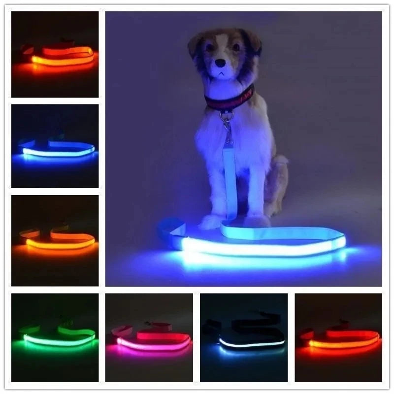Led Pet Dog Leash Rope With Light Luminous  Lead Leash USB Charging for Dog Safety Flashing Glowing Collar Harness Accessories
