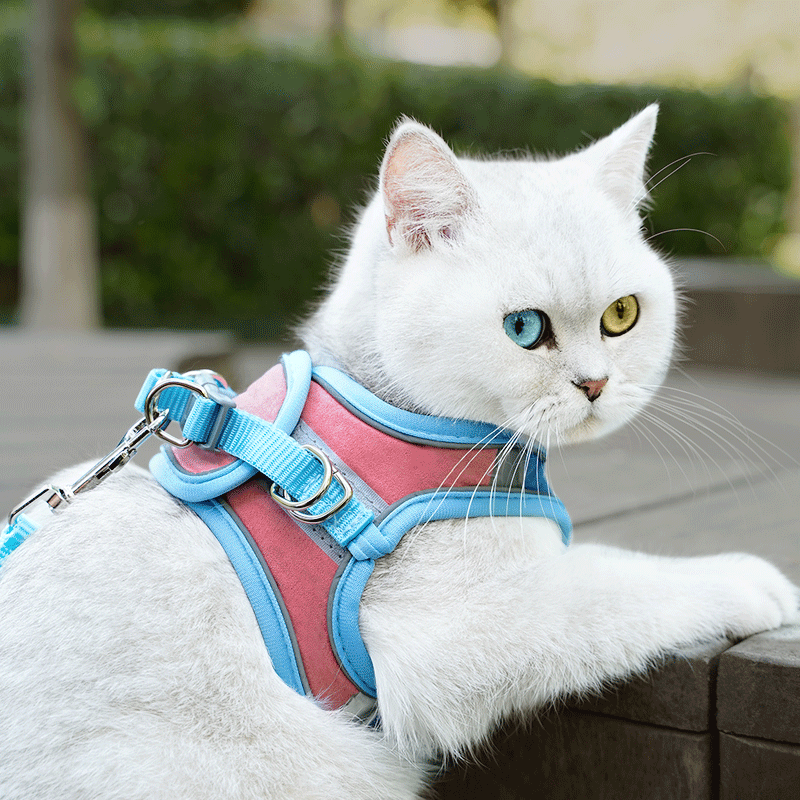 Cat Chest Harness Luminous Belt
