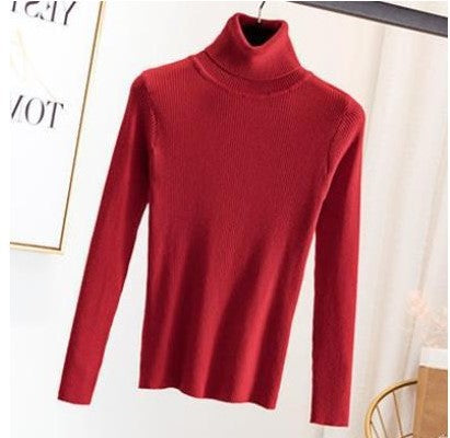 Women Turtleneck Sweater