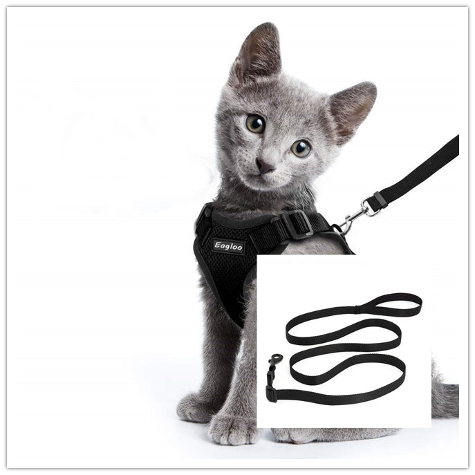 Cat Harness And Car Seat Belt Adapter