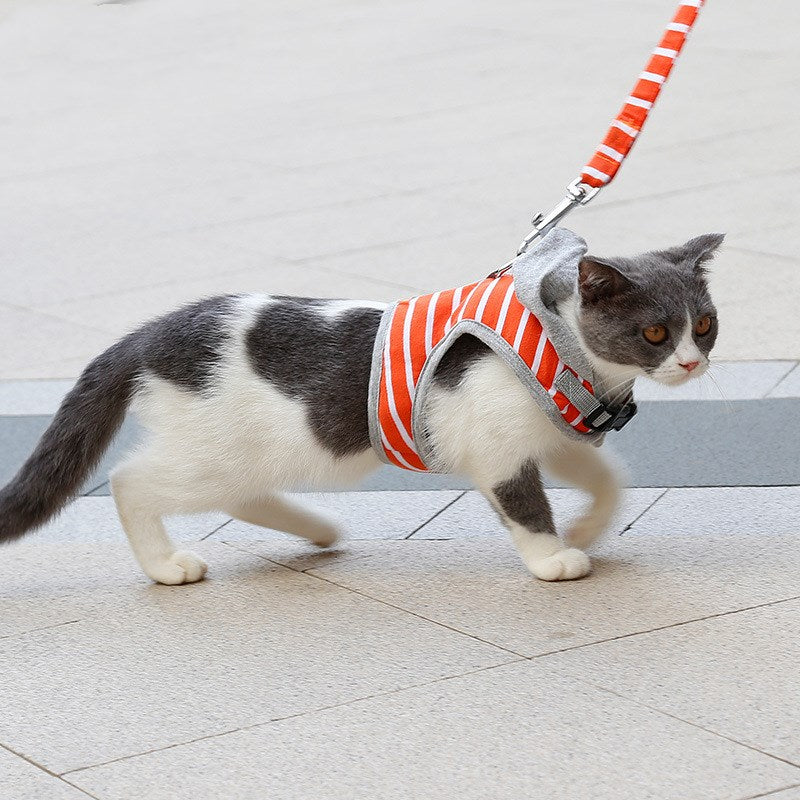 Cat outing chest harness