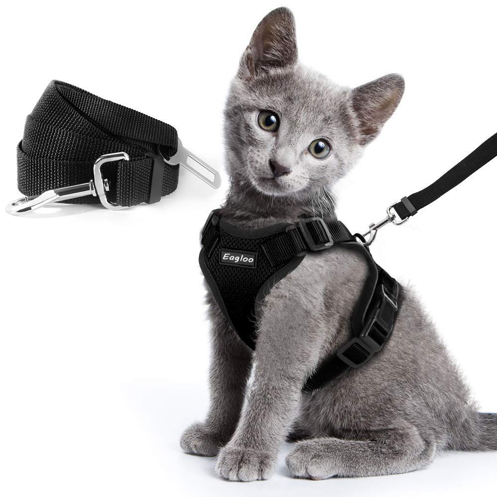 Cat Harness And Car Seat Belt Adapter