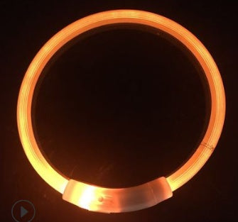 USB charging light Dog collar
