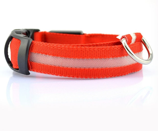 Safety Stylish Dog LED Collar