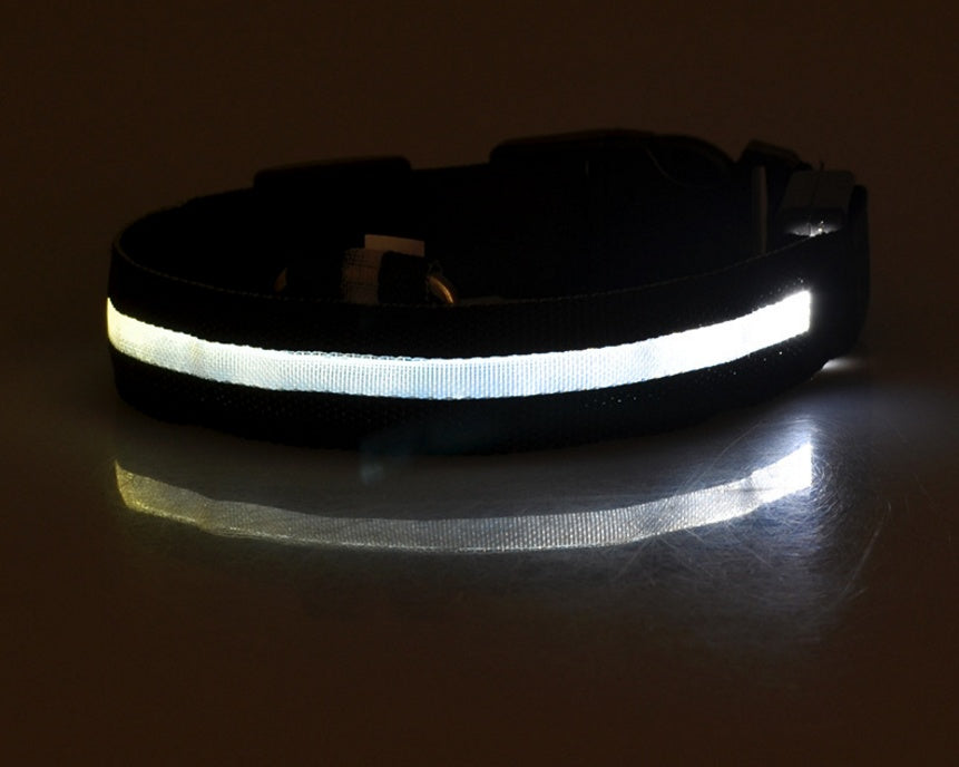 Night Safety Luminous  Cat Collar