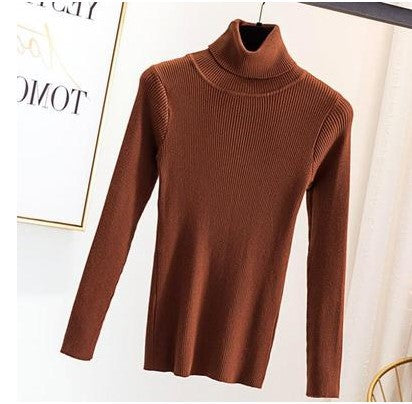 Women Turtleneck Sweater