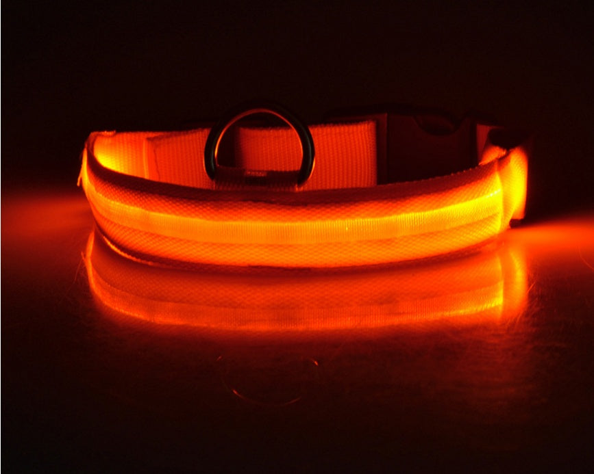 Night Safety Luminous  Cat Collar