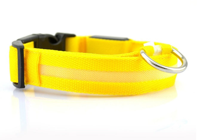 Safety Stylish Dog LED Collar