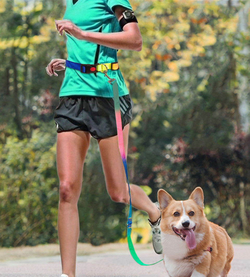 Frees Both Hands for Cat and Dog