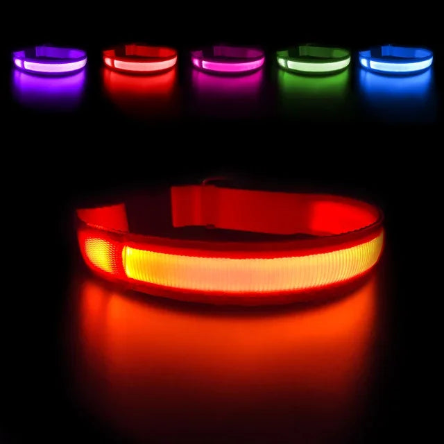 Waterproof LED Dog Collar - Luminous Flashing Safety Glow Necklace for Night Walking Bozal perro Dog collars Dog bows bulk Leash