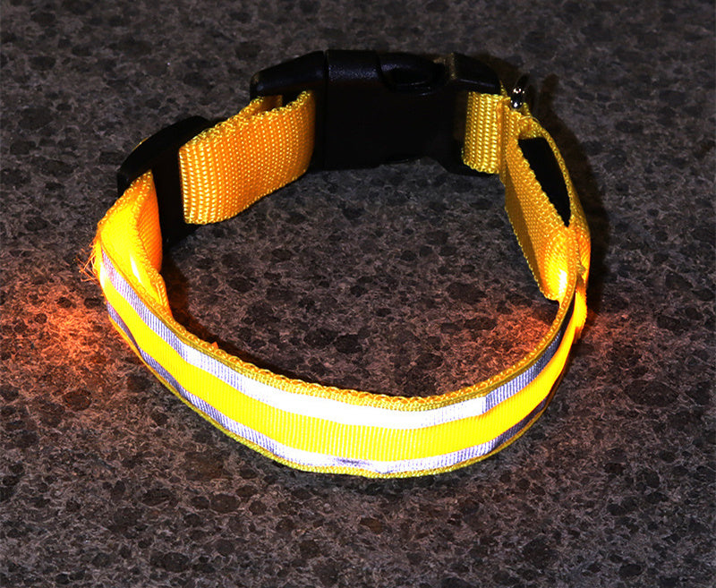 Anti-lost safety Led Dog Collar