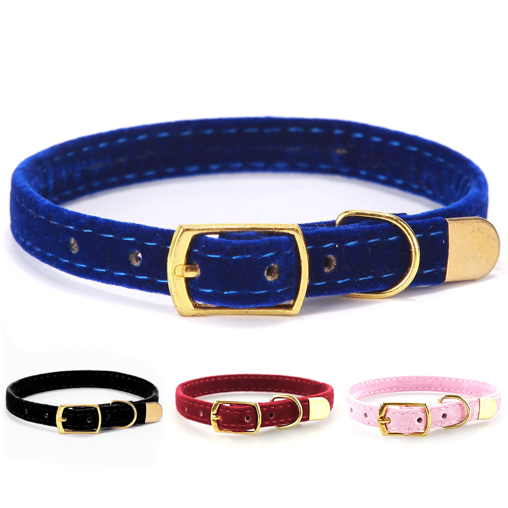 comfortable stylish cat collar