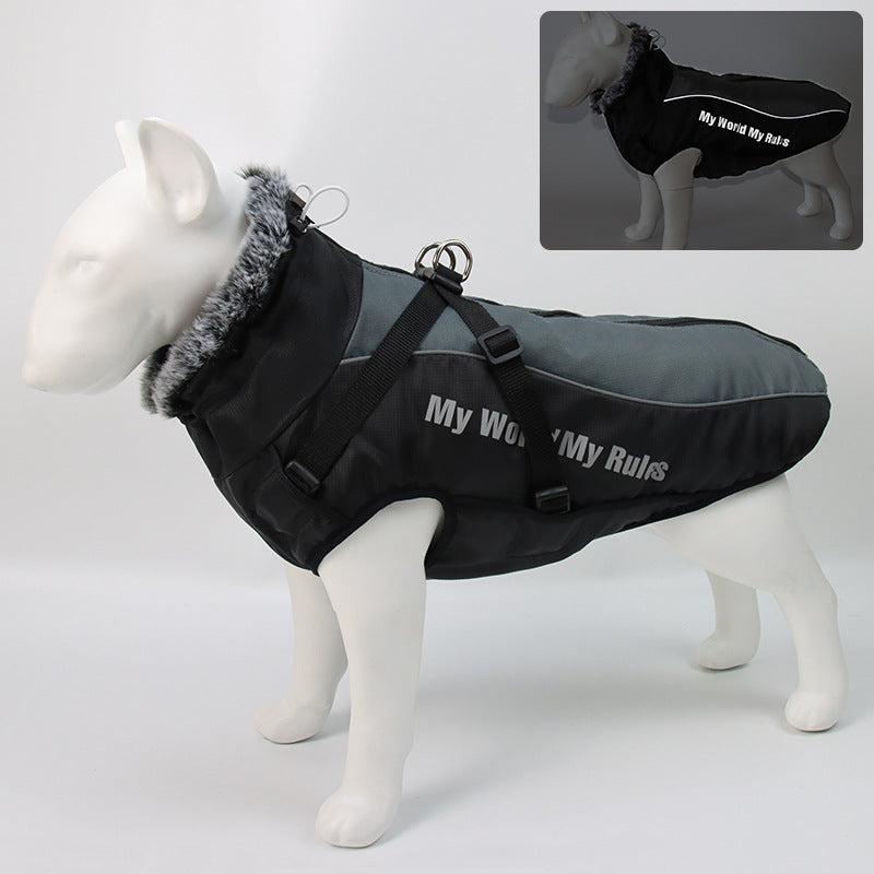 Stylish & Perfect warm Dog jacket