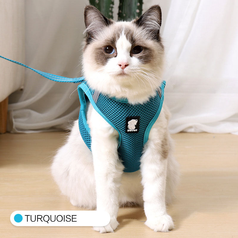 Anti-strike cat traction harness