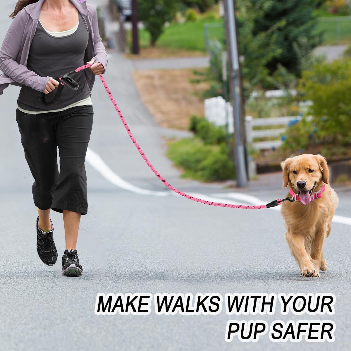 Dogs and Cats Leash Walking