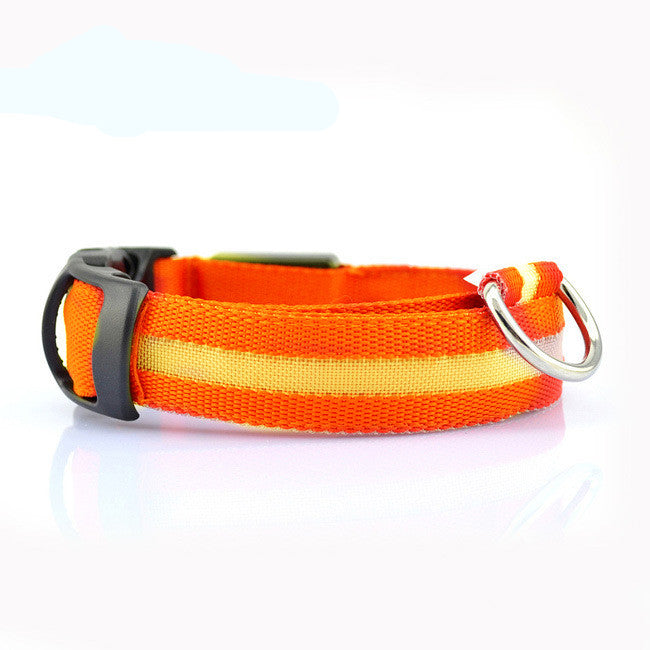 Safety Stylish Dog LED Collar