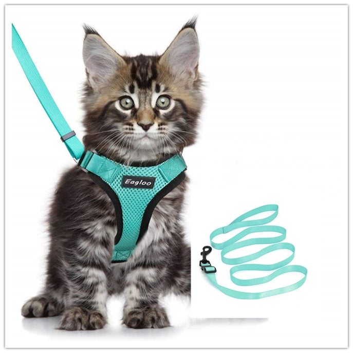 Cat Harness And Car Seat Belt Adapter