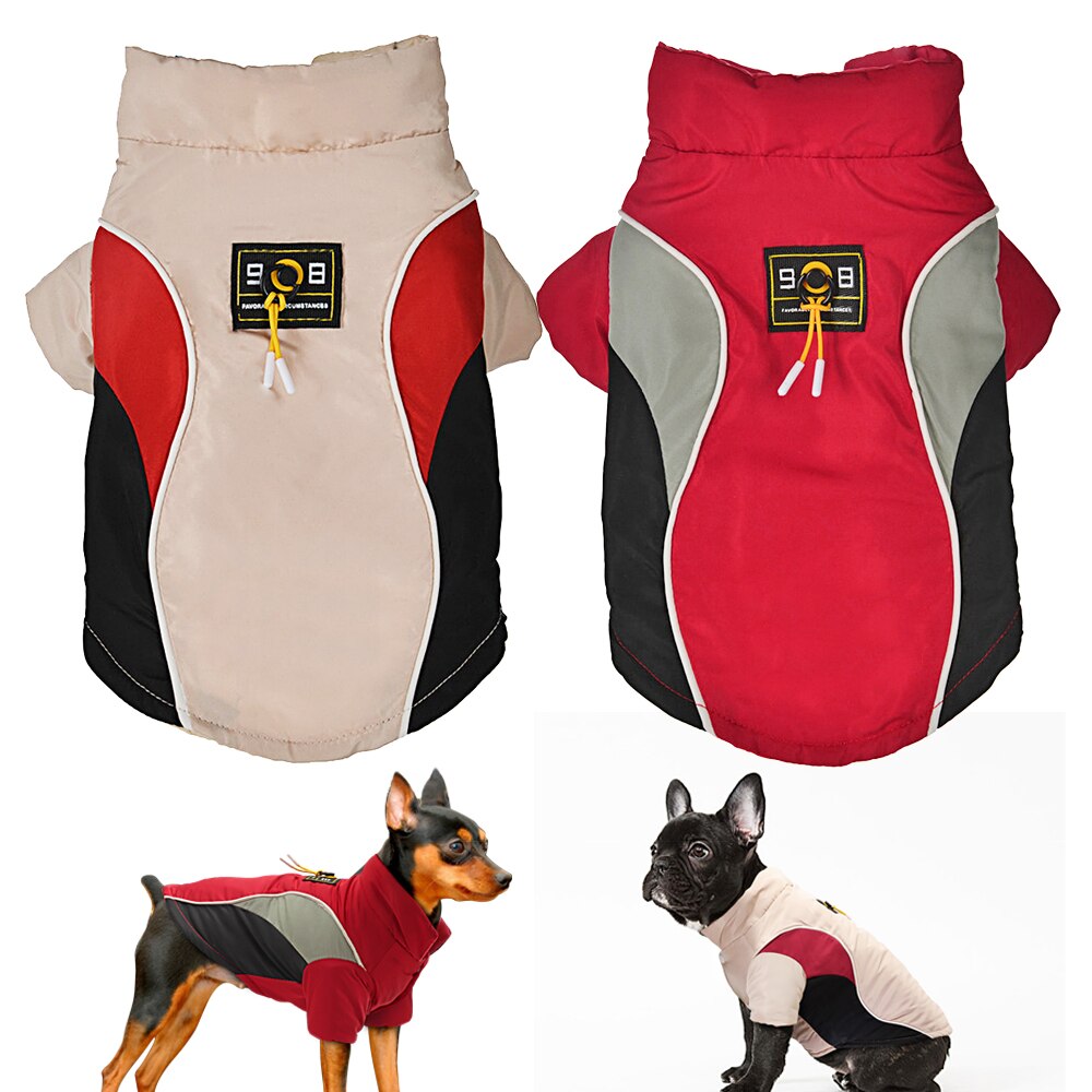 Everyday-Friendly Dog clothes