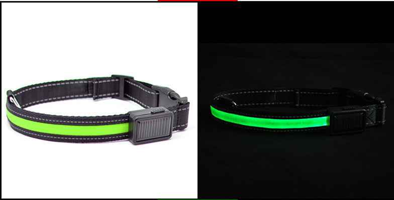 Led Solar Luminous Dog Collar