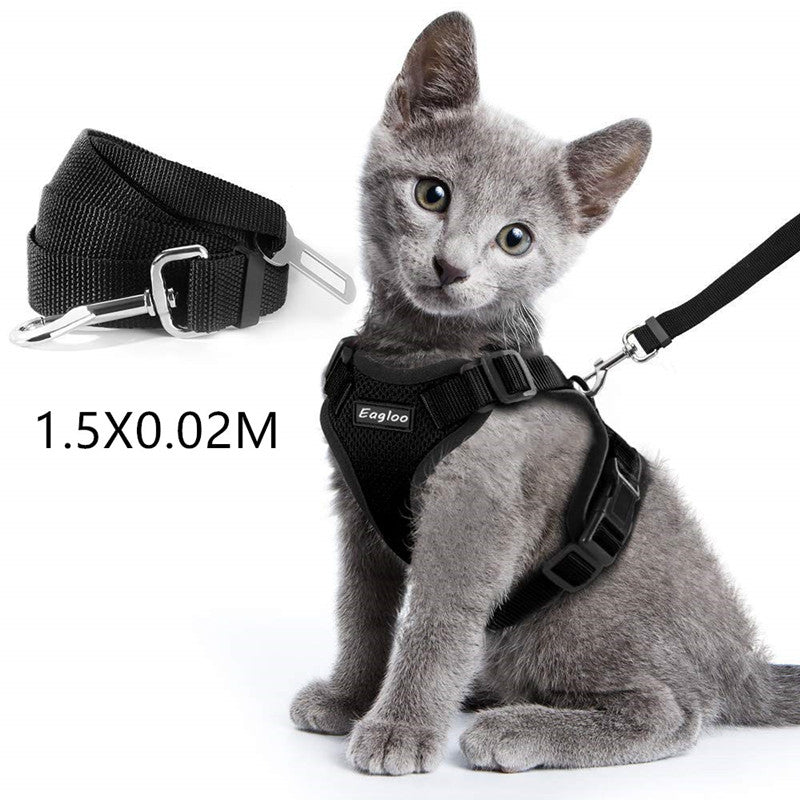 Cat Harness And Car Seat Belt Adapter