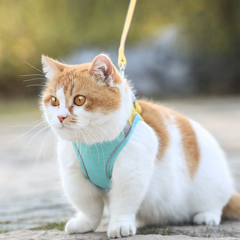 Cat Chest Harness Cute Walking Rope