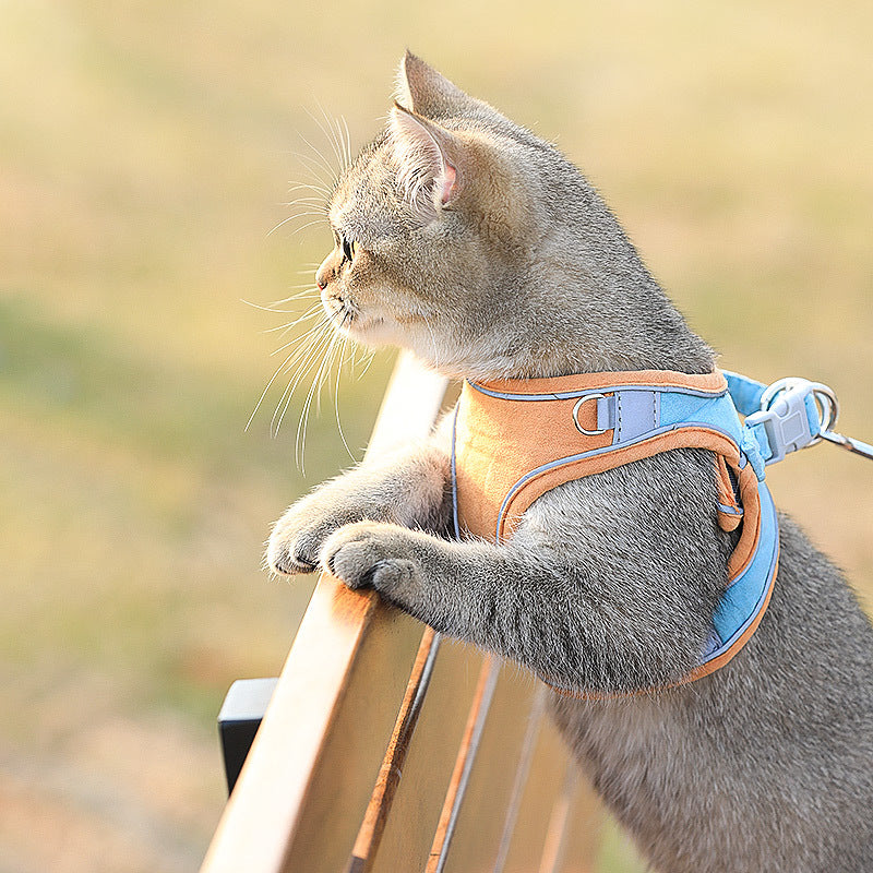Cat Chest Harness Cute Walking Rope