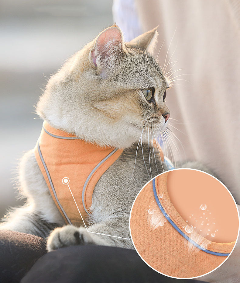 Cat Chest Harness Cute Walking Rope