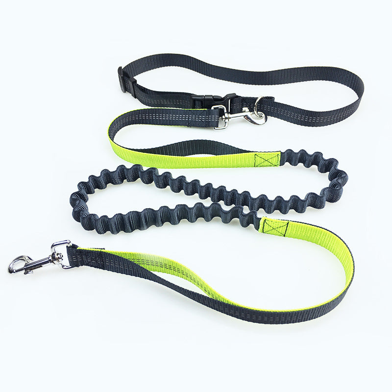 Supplies Cat & Dog Running Leash