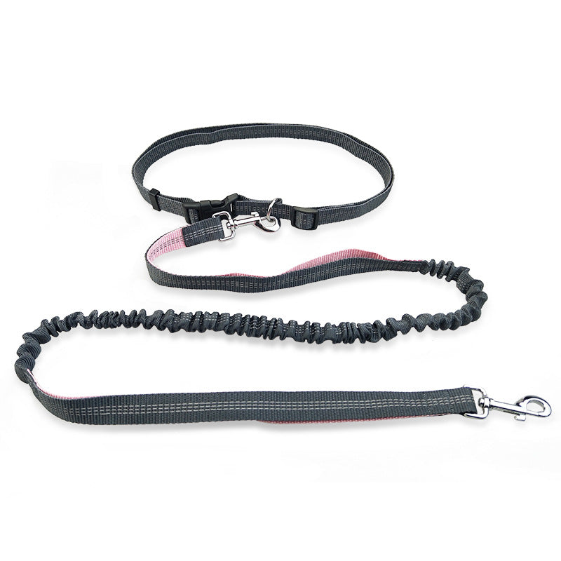 Supplies Cat & Dog Running Leash