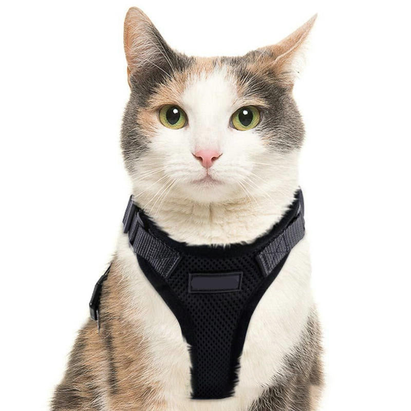 PawProwl-Walking Cat Harness