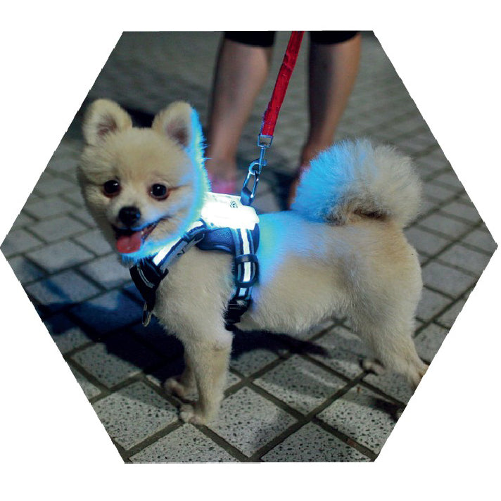 Luminous Usb Dog collar