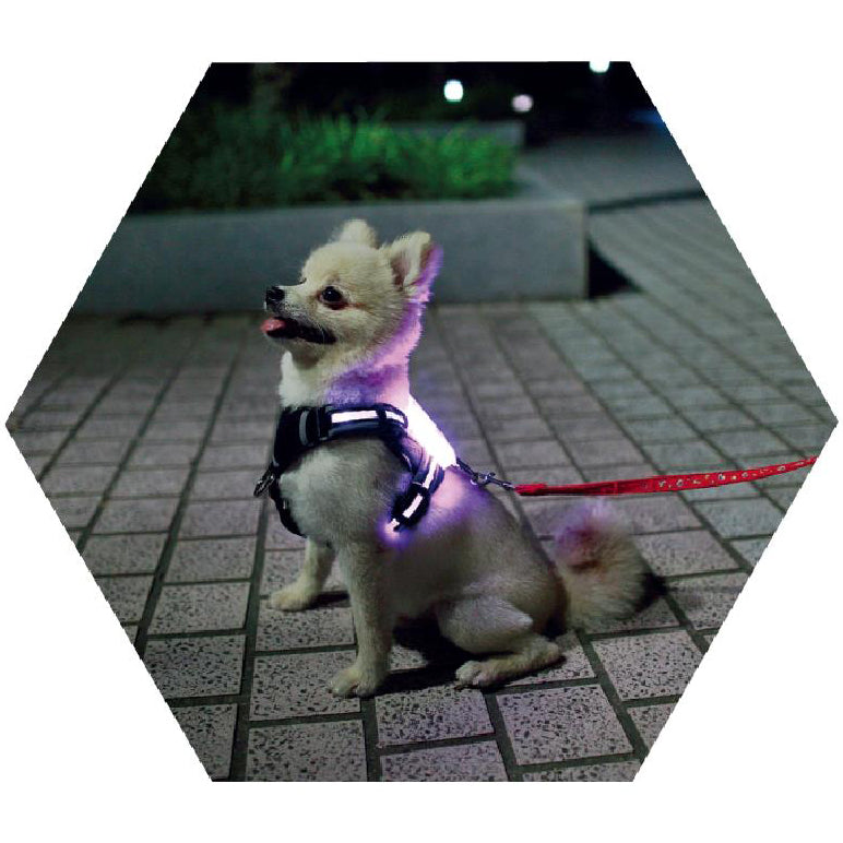 Luminous Usb Dog collar