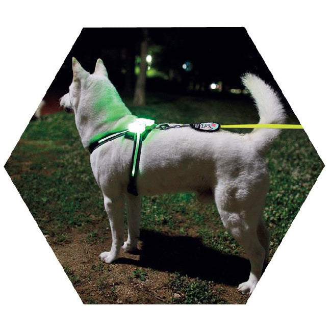 Luminous Usb Dog collar