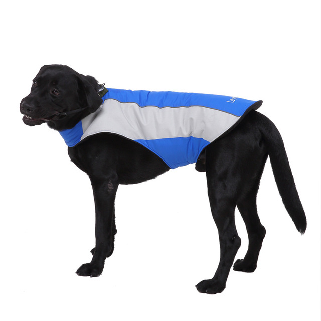 Casual Dog reflective clothes