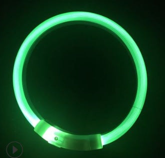 USB charging light Dog collar