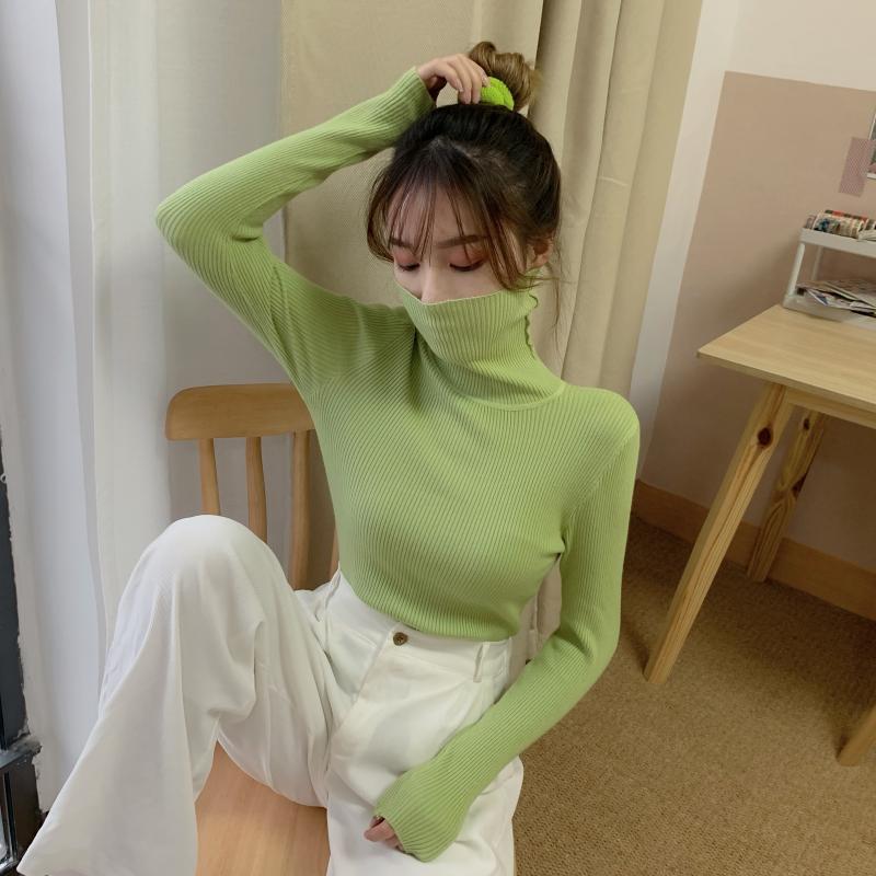 Women Turtleneck Sweater