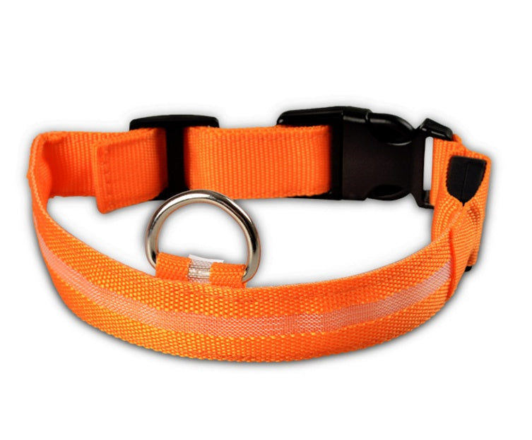 Night Safety Luminous  Cat Collar