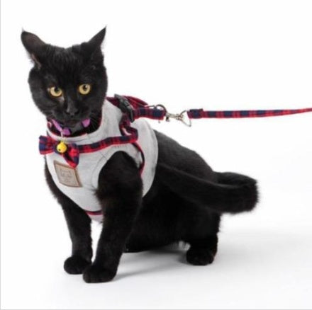 Kitty Cat Perfect Harness Offer