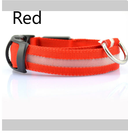 Safety Stylish Dog LED Collar