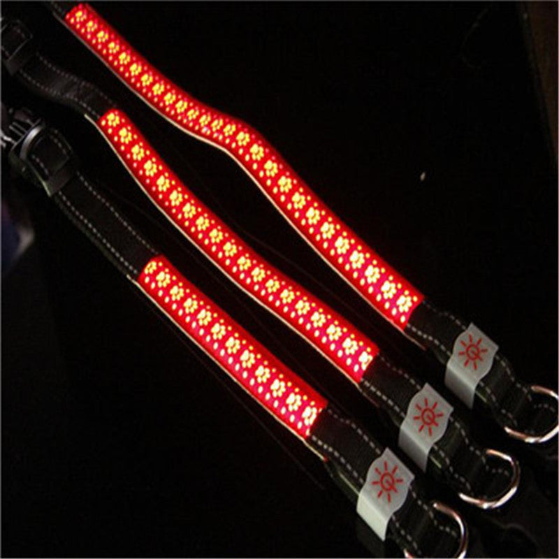 LED light style Cat collar