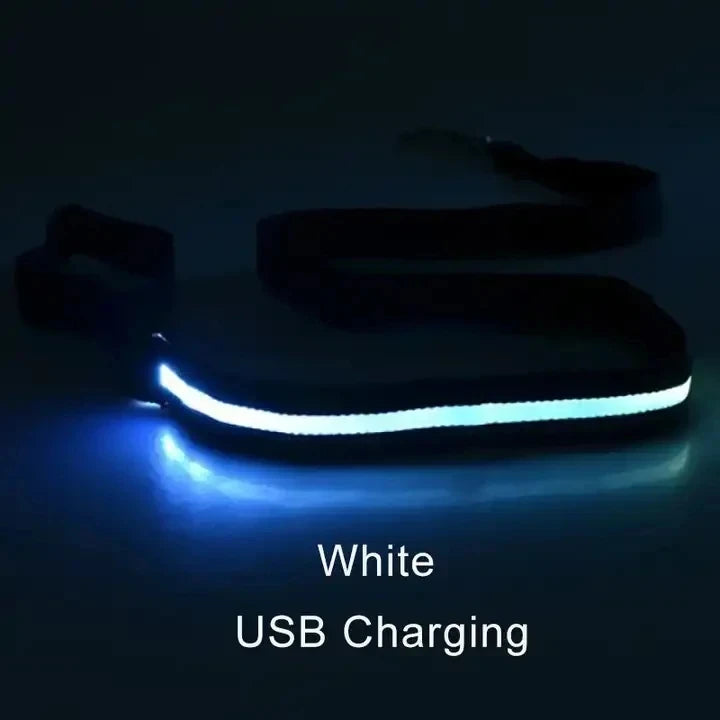 Led Pet Dog Leash Rope With Light Luminous  Lead Leash USB Charging for Dog Safety Flashing Glowing Collar Harness Accessories