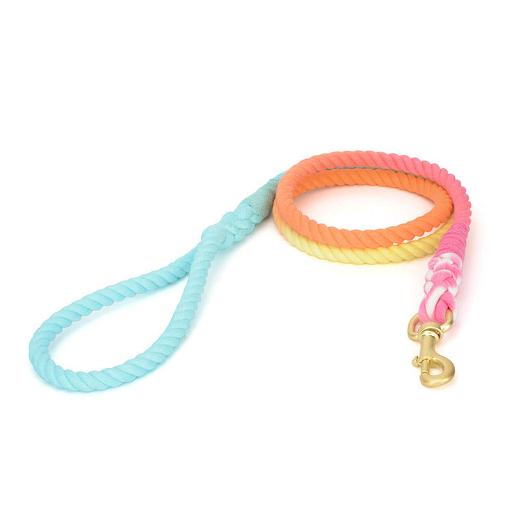 Color Leash Pet Traction Rainbow